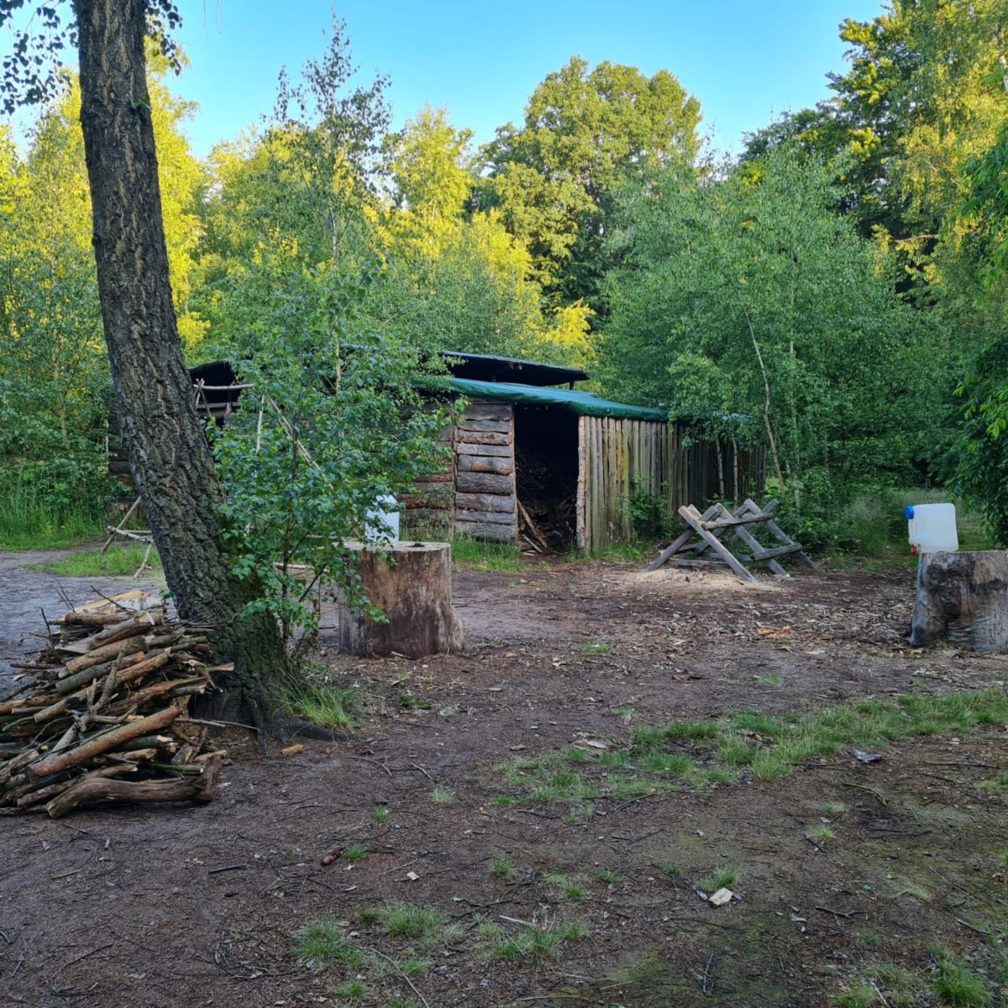 Outdoor Survival Camp