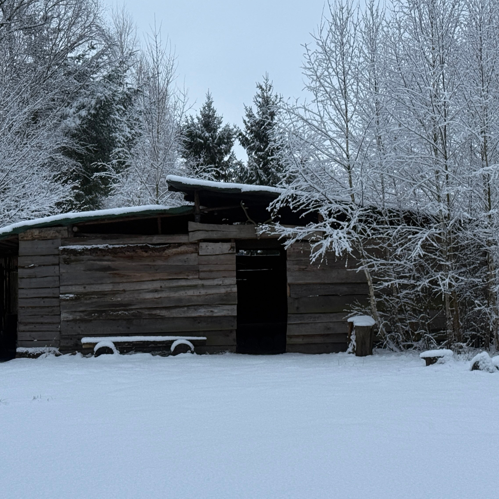 X-Mas Camp - Saisonabschluss