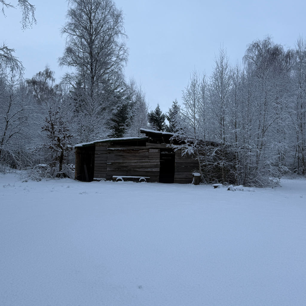 X-Mas Camp - Saisonabschluss
