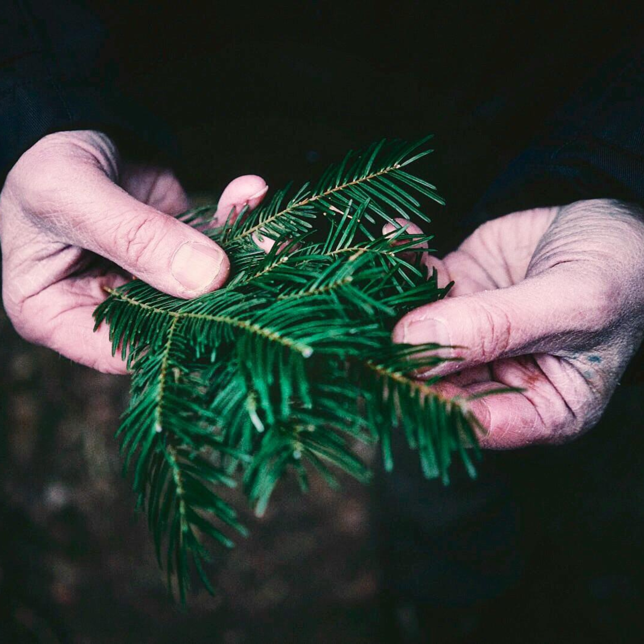 Bushcraft und Survival Intensiv