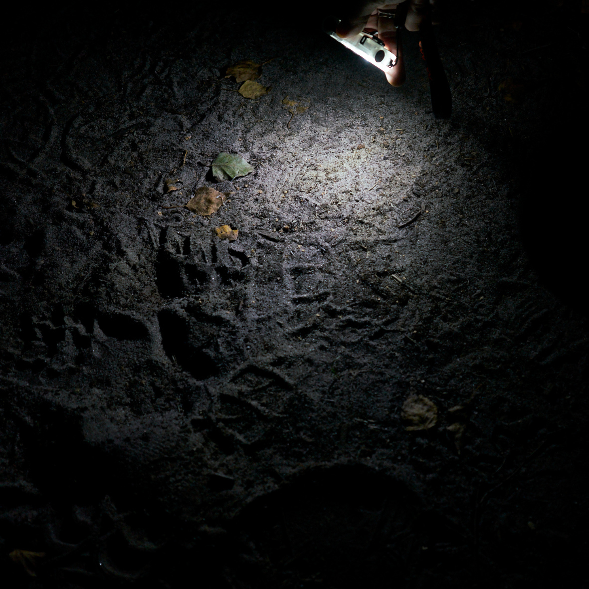 Man Tracking Kurs - Fährtenlesen