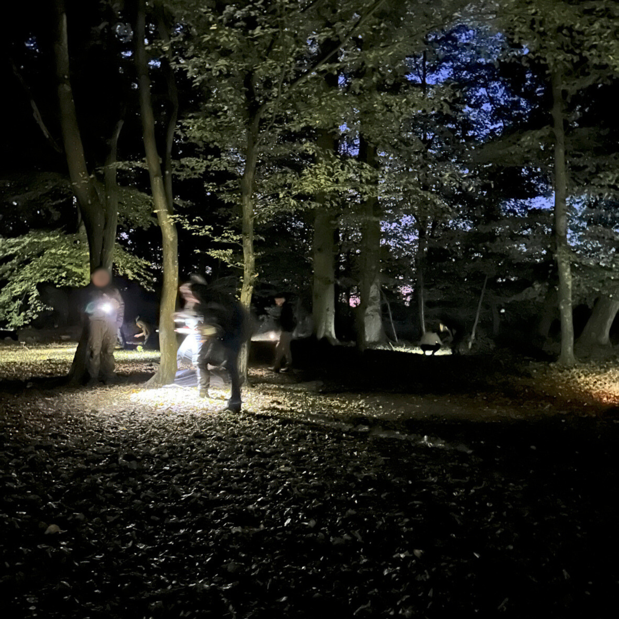 Man Tracking Kurs - Fährtenlesen