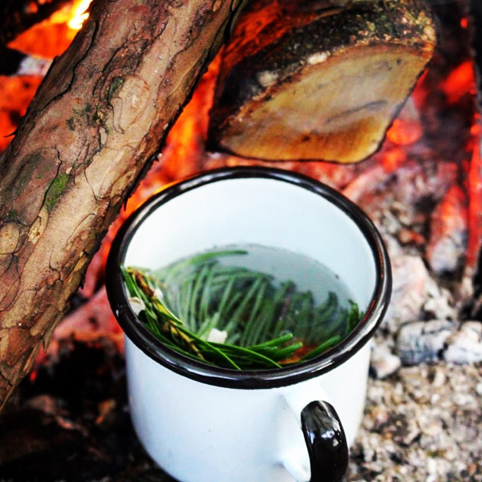 Outdoor Survival Camp