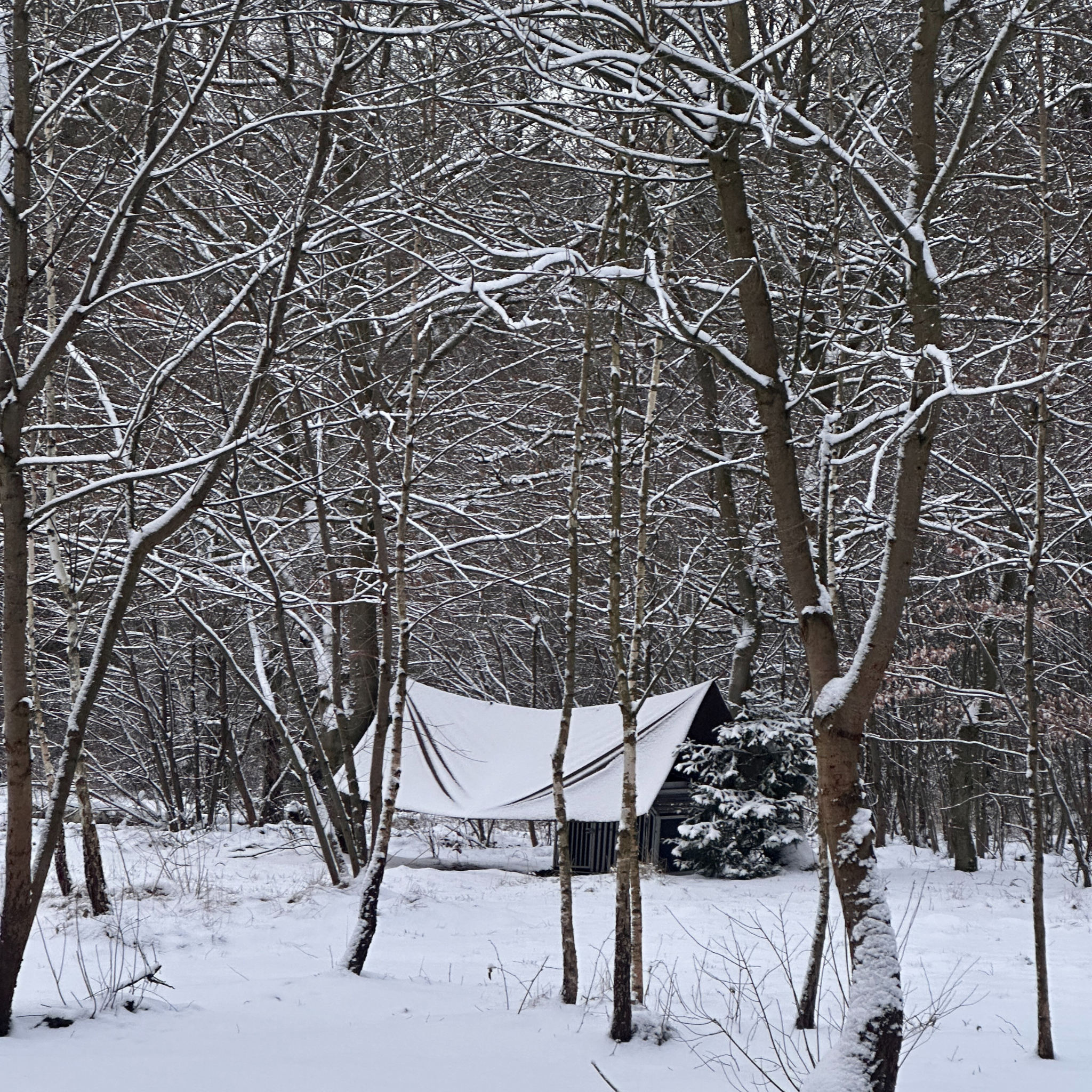 X-Mas Camp - Saisonabschluss