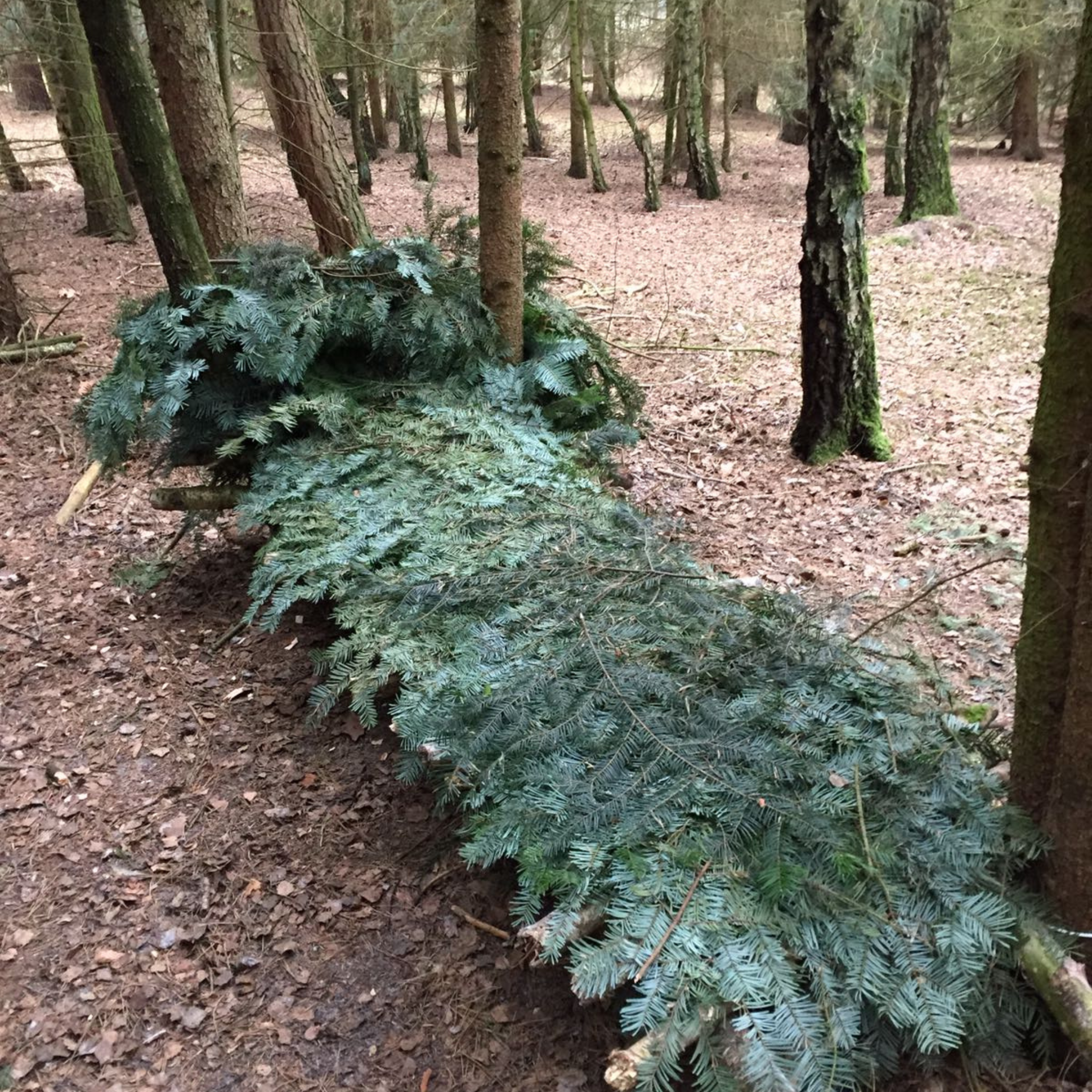 Bushcraft und Survival Intensiv